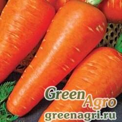 Семена Морковь Рекси (1уп-10 гр) (фракция 1,6-1,8 мм) (инкруст.сем.)