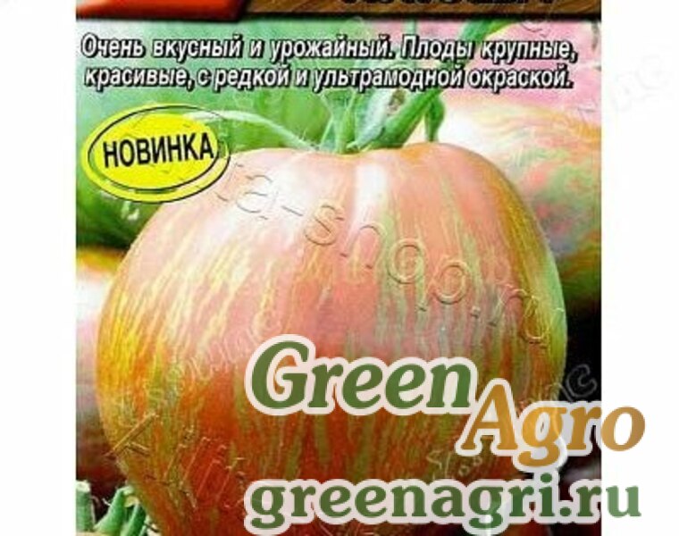 Томат Богатырь Фото