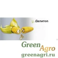 Семена Кукуруза, Делитоп, 1 п.е., Syngenta