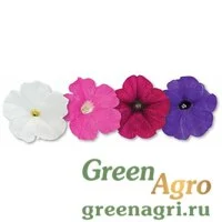 Семена Петуния ампельная Саксесс Твайлайт Микс 100драже