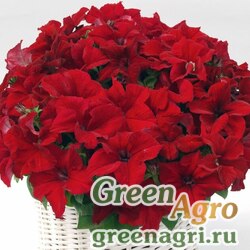 Семена Петуния ампельная гибридная (Petunia x hybrida) "Capri F1" (red) pelleted 1000 шт.