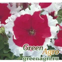 Семена Петуния крупноцветковая (Petunia grandiflora) "Frost F1" (cherry) pelleted 100 шт.