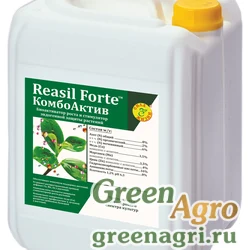 Reasil Forte КомбоАктив