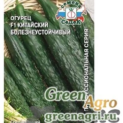 Семена пакетированные Огурец Китайский болезнеустойчивый Седек Ц