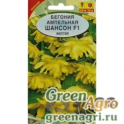 Семена пакетированные КОМ Бегония Шансон желтая Аэлита Ц
