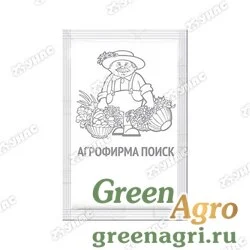 Семена пакетированные Кориандр Тайга Поиск Б