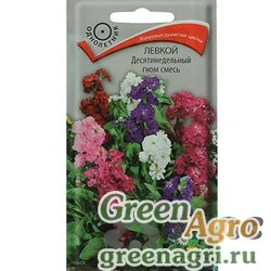 Семена пакетированные Левкой Десятинедельный гном Поиск Ц