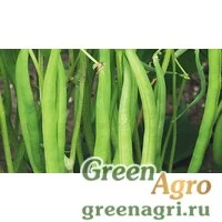 Семена Серенгети 100 тыс. семян, Syngenta