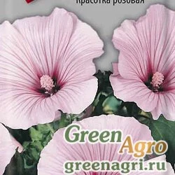 Семена Лаватера Красотка розовая  (упак-50 гр.)