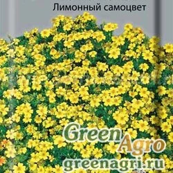 Семена Бархатцы тонколистные Лимонный самоцвет  (упак-50 гр.)