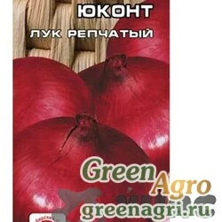 Лук Юконт Сиб.Сад Ц