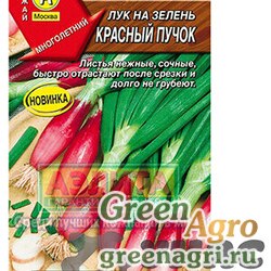 Семена пакетированные Лук на зелень Красный пучок Аэлита Ц