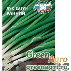 Семена пакетированные Лук батун Ранний Седек Ц
