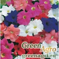 Семена Петуния крупноцветковая (Petunia grandiflora) "Storm F1" (mix) pelleted Произв. 1000 шт.