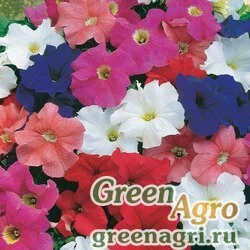Семена Петуния крупноцветковая (Petunia grandiflora) "Storm F1" (mix) pelleted Произв. 1000 шт.