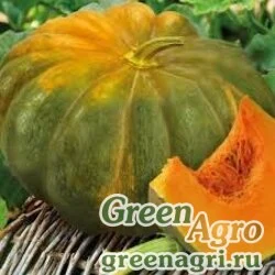 Семена Тыква Мускатная Мускадэ Агро (Поиск -Профи) (уп-50 гр) (инкруст,сем) , Агрофирма Поиск-Профи