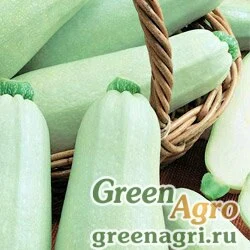 Семена Кабачок Белоплодные (упак-50 гр.)