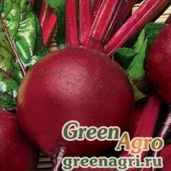 Семена Свекла столовая Одноростковая  (упак-50 гр.)