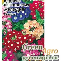 Семена пакетированные Вербена Мелодия (метал) Гавриш Ц