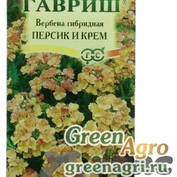 Семена пакетированные Вербена Персик и крем Гавриш Ц
