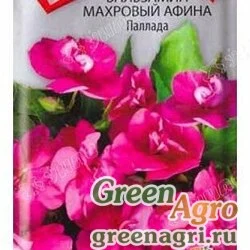 Семена пакетированные Бальзамин Афина Паллада Поиск Ц