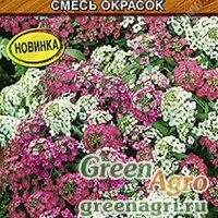 Семена пакетированные Алиссум Двойное сияние смесь Аэлита Ц