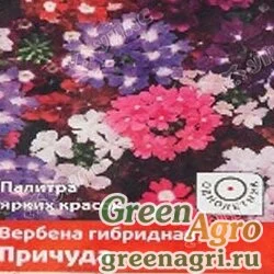 Семена пакетированные Вербена Причуда гибрид Семетра Поиск Ц