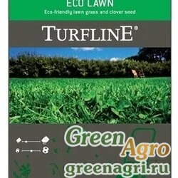 Газон Ecolawn с микроклевером