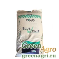 Мятлик луговой Bluechip (22,68 кг)