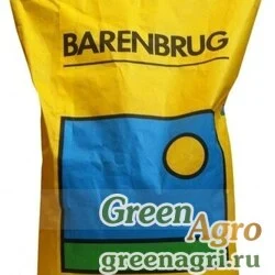 Овсяница красная красная Барсильвия