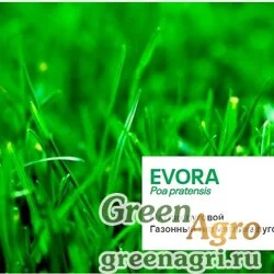 Мятлик луговой Эвора (evora) 10 кг
