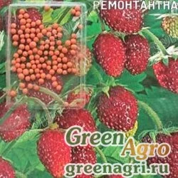 Семена пакетированные Земляника Сашенька (драже) Поиск Ц