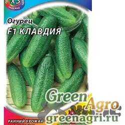 Огурец Клавдия (металл) Гавриш Ц