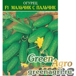 Семена пакетированные Огурец Мальчик с пальчик Манул Ц