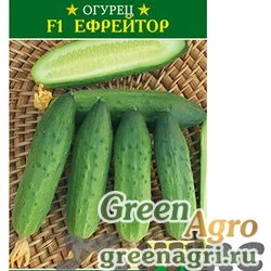 Семена пакетированные Огурец Ефрейтор Манул Ц