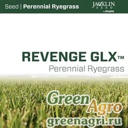 Райграс пастбищный Revenge GLX (22,68 кг)