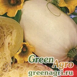 Семена Кабачок Спагетти фемели (упак-50 гр.)