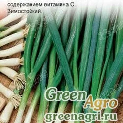 Семена пакетированные Лук батун Апрельский Седек Ц