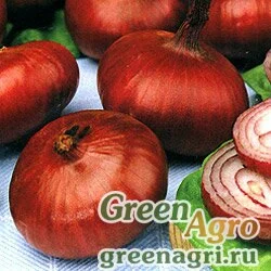 Семена Лук репчатый Кармен МС (упак-50 гр.)