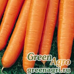 Семена Морковь Фараон (упак-50 гр.)