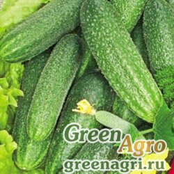 Семена Огурец Дворянский F1 (упак-50 гр.)