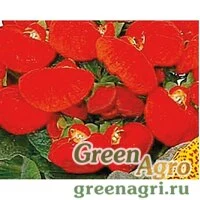 Семена Кальцеолярия Даинти Ред 1000драже