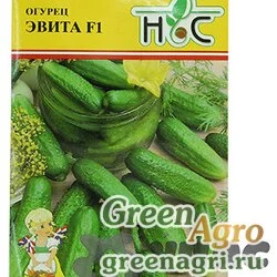 Огурец Эвита НС