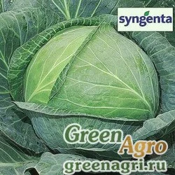 Семена Агрессор F1	2,5 тыс. семян, Syngenta