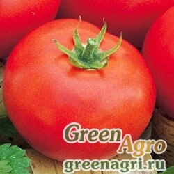 Семена Томат Дубрава (упак-50 гр.)