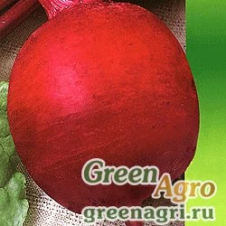 Семена Свекла столовая Детройт(продается на вес)