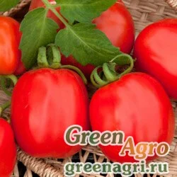 Семена Томат Коррида (упак-50 гр.)