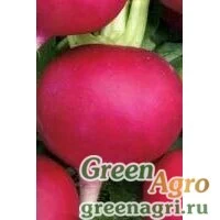 Семена Редька Барыня (упак-50 гр.)