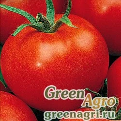 Семена Томат Ранний 83 (упак-50 гр.)