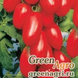 Семена Томат Победитель (упак-50 гр.)